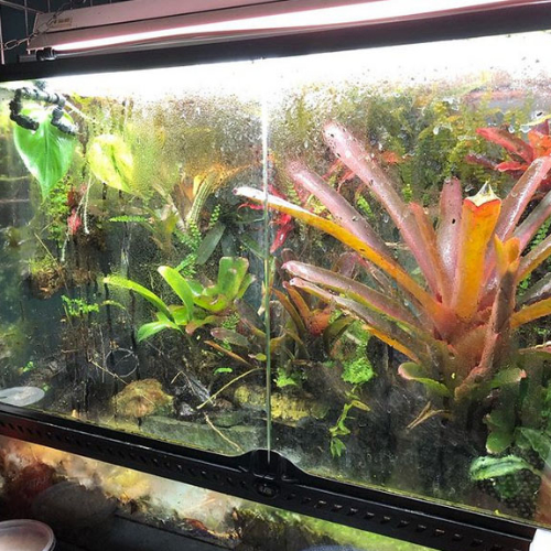 vivarium